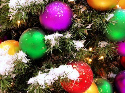 annual holiday party