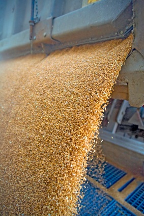 South Dakota Grain Warehousemen Bond