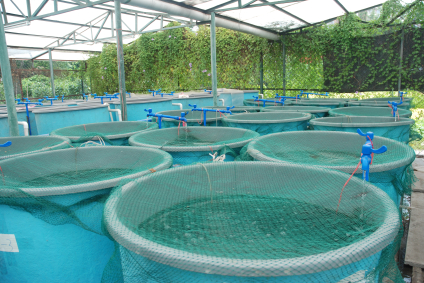 aquaculture farms