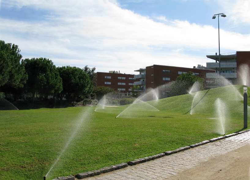 irrigation