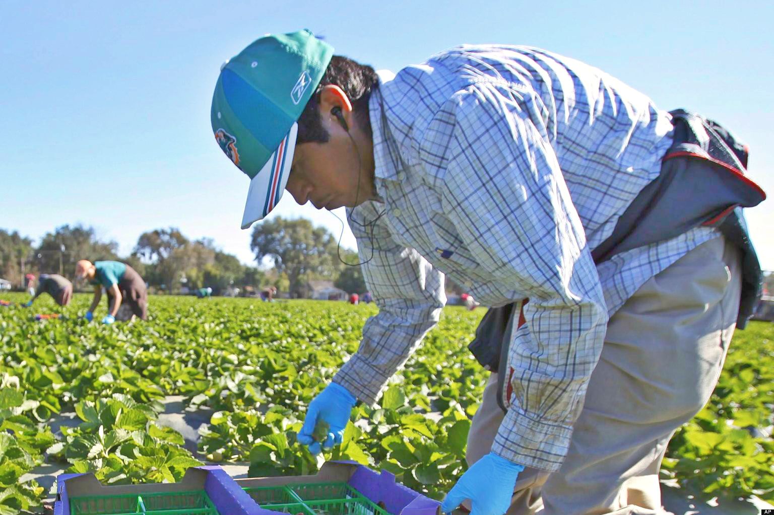 New CA Law Requires Foreign Labor Contractors Bond