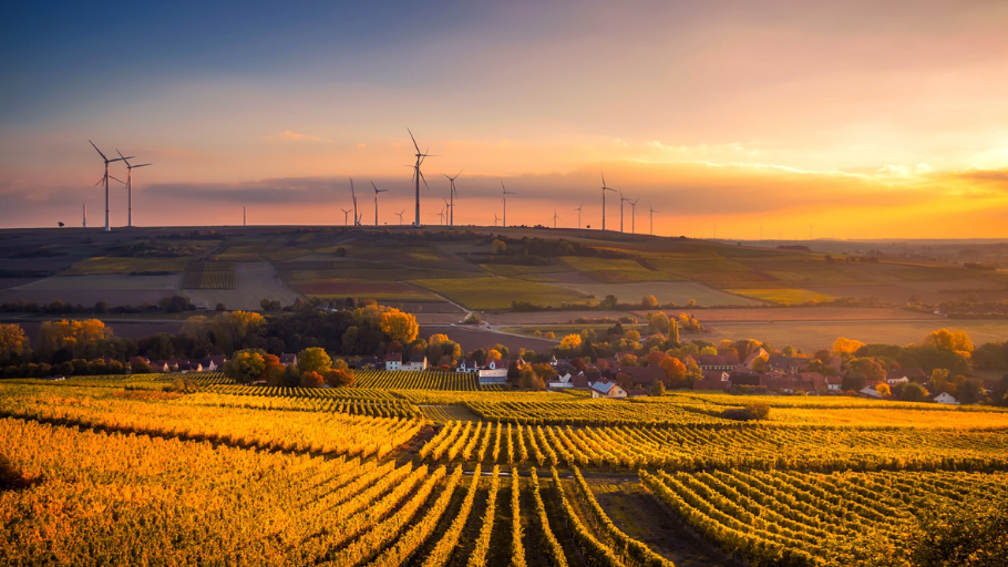 Image of a farm at sunset