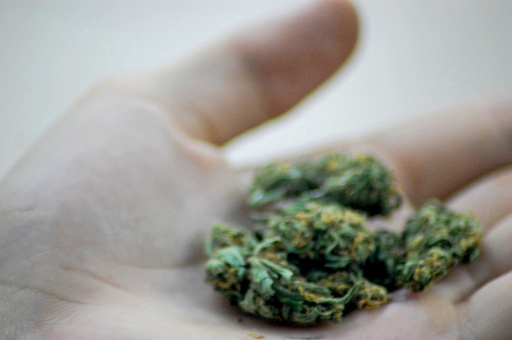 Colorado Medical Marijuana Bond