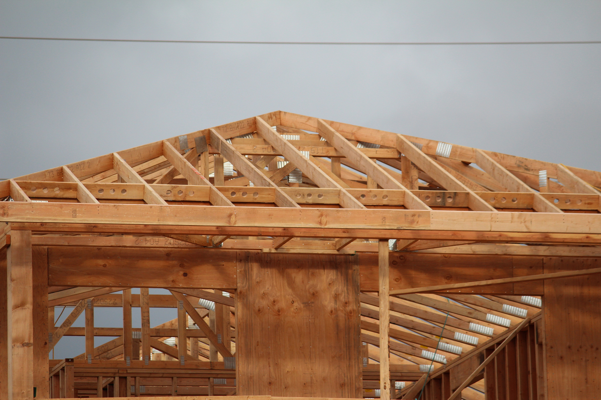 license surety bonds