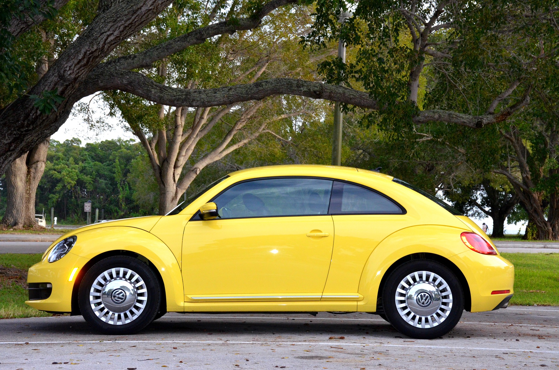 florida auto dealers
